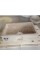 Siver Travertine Deep Rectangular Sink